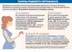 Медицинским организациям Кузбасса, участвующим в реализации программы «Родовый сертификат», в 2018 году  перечислено более 238 миллионов рублей