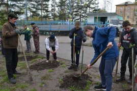 В поселке Тайжина продолжается работа по озеленению парка «Мир»