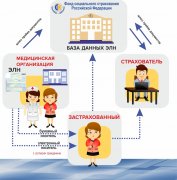 Промежуточные итоги проекта «электронный больничный» в Кузбассе