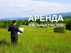 Абрамченко поручила поддержать арендаторов земельных участков
