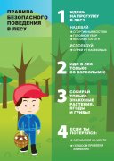 "Правила поведения в лесу"  Памятка для детей!