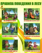 "Правила поведения в лесу"  Памятка для детей!