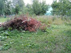 ПРИВЕДЕНИЕ ГАЗОНА В ПОРЯДОК