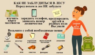 Отправляясь  в лес? Вы рискуете заблудиться!!!