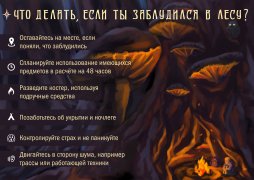 Памятка грибнику. Как не потеряться в лесу? Памятка грибнику. Как не потеряться в лесу?