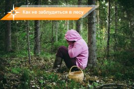 Памятка грибнику. Как не потеряться в лесу? Памятка грибнику. Как не потеряться в лесу?