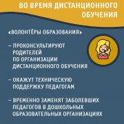  «Волонтеры образования» оказывают помощь родителям, педагогам и образовательным учреждениям по организации занятий в онлайн-режиме