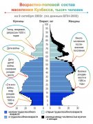 ВОЗРАСТНО-ПОЛОВЫЕ ПИРАМИДЫ: О ЧЕМ РАССКАЗЫВАЮТ «ЁЛОЧКИ» ПО ИТОГАМ ВПН 