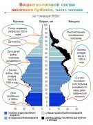 ВОЗРАСТНО-ПОЛОВЫЕ ПИРАМИДЫ: О ЧЕМ РАССКАЗЫВАЮТ «ЁЛОЧКИ» ПО ИТОГАМ ВПН 