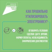 Как утилизировать отдельные виды отходов