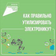 Как утилизировать отдельные виды отходов