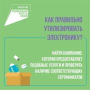 Как утилизировать отдельные виды отходов