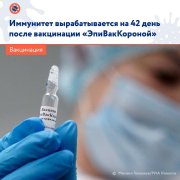 Иммунитет к вирусу Иммунитет к вирусу