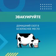 Что нужно знать и что нужно делать? Памятка "Весеннее половодье" 