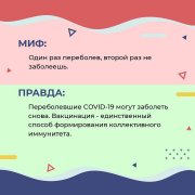 Доверяйте только официальной информации! 