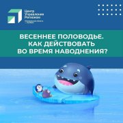 Ситуация на реке