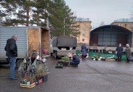 Готовимся к дачном сезону Готовимся к дачном сезону