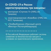 О вакцинации 