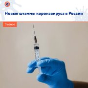 Фиксируются новые штамы Фиксируются новые штамы