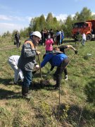 В поселке Тайжина состоялась акция «Сад памяти»