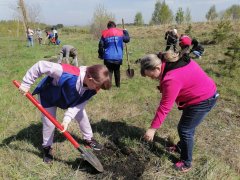 В поселке Тайжина состоялась акция «Сад памяти»