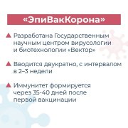 &#129514; Теперь в России зарегистрировано 4 вакцины от COVID-19