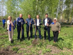 Посадки деревьев продолжаются