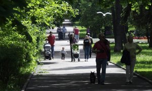 Выплаты беременным и поддержка родителей дошкольников: Госдума приняла поправки «Единой России» для реализации социальных положений Послания