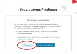 Получение госуслуг в электронном виде приобретает всё большую популярность среди кузбассовцев