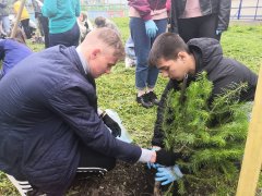 Создаём школьные аллеи