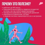 Почему ходьба — скандинавская?