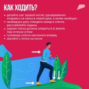 Почему ходьба — скандинавская?