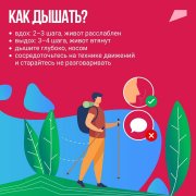 Почему ходьба — скандинавская?