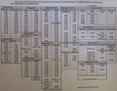 Актуальное расписание движения автобусных маршрутов