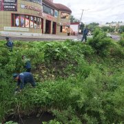 Об участии в экологических акциях