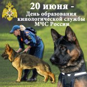 20 июня - День образования кинологической службы МЧС России 20 июня - День образования кинологической службы МЧС России