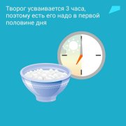 Творог — с этого продукта начинает свой день каждый второй россиянин. 