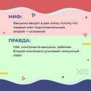 Мифы и правда о вакцинации от COVID-19
