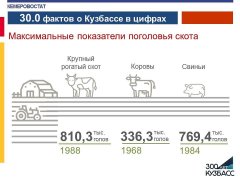 Статистические факты, посвященные 300-летию Кузбасса