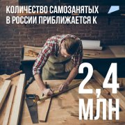 Какую же работу предпочитают самозанятые россияне? 