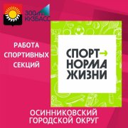 О работе спортивных секций