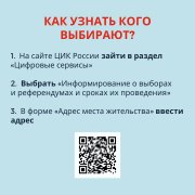 Где найти информацию о выборах? 