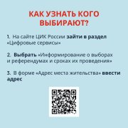 Где найти информацию о выборах? 