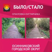 Выпилили кустарники по просьбе горожан Выпилили кустарники по просьбе горожан