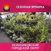 Широкий ассортимент продукции представлен на городской ярмарке