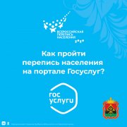 Как пройти перепись на портале Госуслуг? 