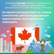 Как в разных странах мира применяют QR-коды для борьбы с коронавирусом?