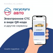 Новые возможности приложения «Госуслуги Авто»