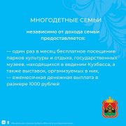 Спрашивали? Отвечаем! Какие выплаты положены семьям с детьми в Кузбассе?