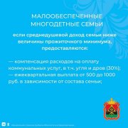 Спрашивали? Отвечаем! Какие выплаты положены семьям с детьми в Кузбассе?